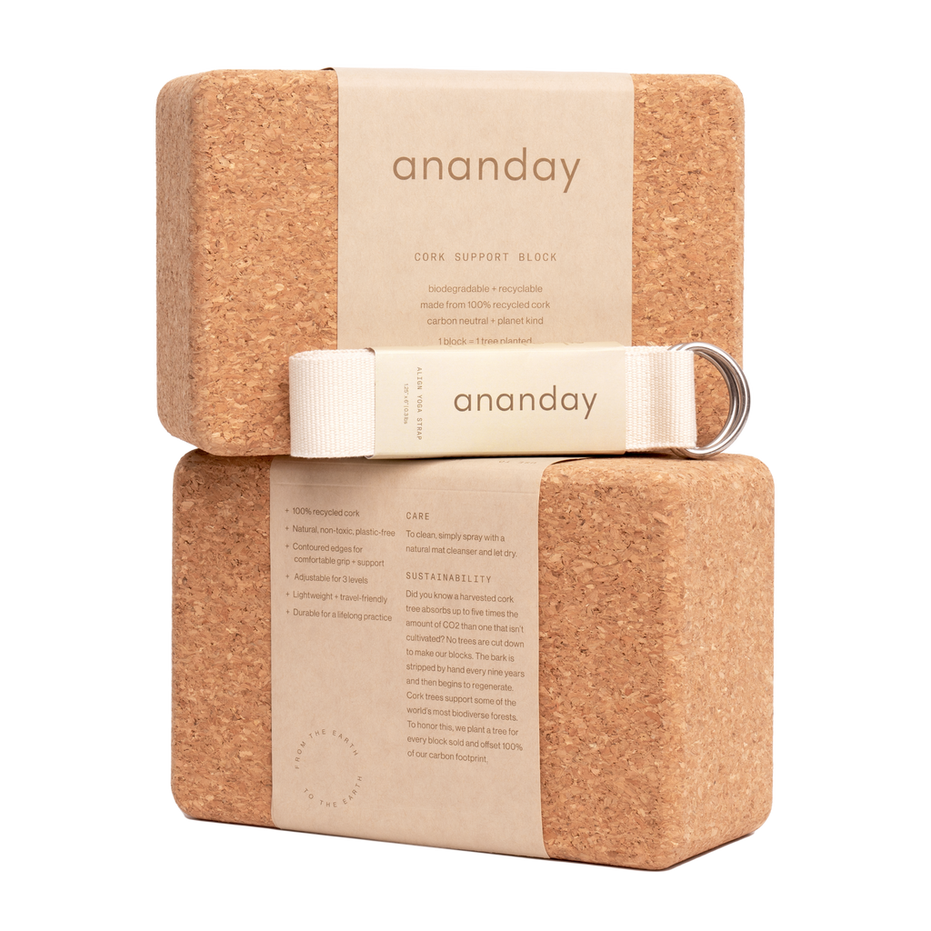 Ananday Yoga Block + Strap Set