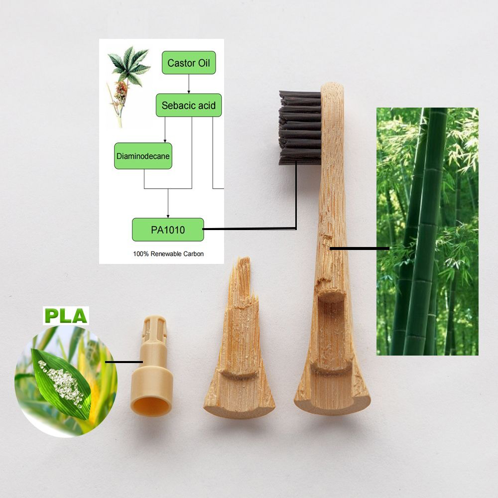 Kaylaan Bamboo Toothbrush Heads – 4-Pack